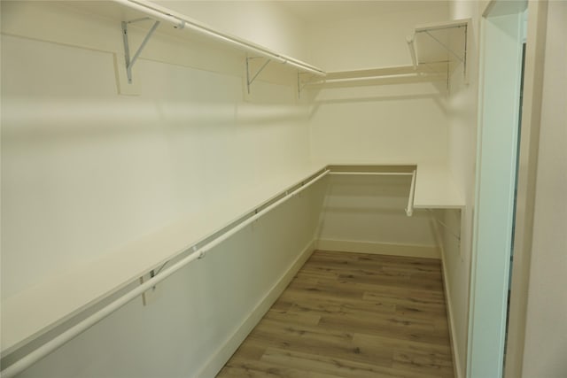 walk in closet featuring wood finished floors