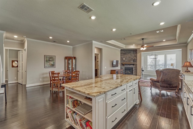 271 Spotted Saddle Ct, The Woodlands, TX 77382 - kitchen with a fireplace, open shelves, a ceiling fan, visible vents, and open floor plan