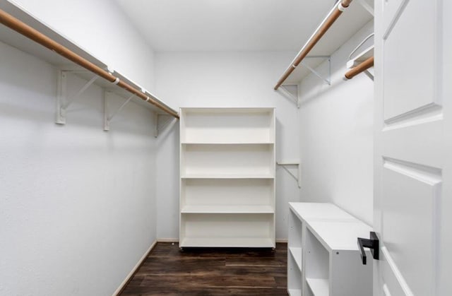 12500 Melville Dr Unit 211, Montgomery, TX 77356 - walk in closet with dark wood finished floors