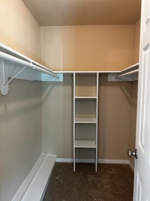 spacious closet with dark colored carpet