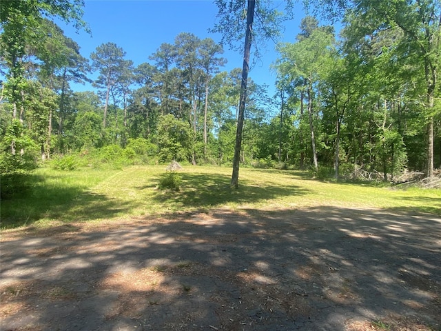 TR29 Oak Pine Dr, Livingston, TX 77351 - photo 2