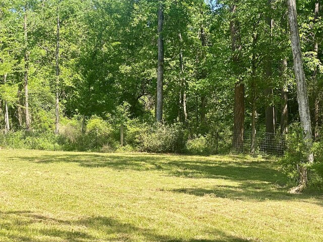TR29 Oak Pine Dr, Livingston, TX 77351 - photo 4