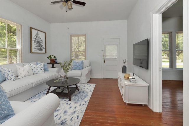 428 E Magnolia St, Angleton, TX 77515 - living room with dark wood-style flooring, a ceiling fan, and a wealth of natural light