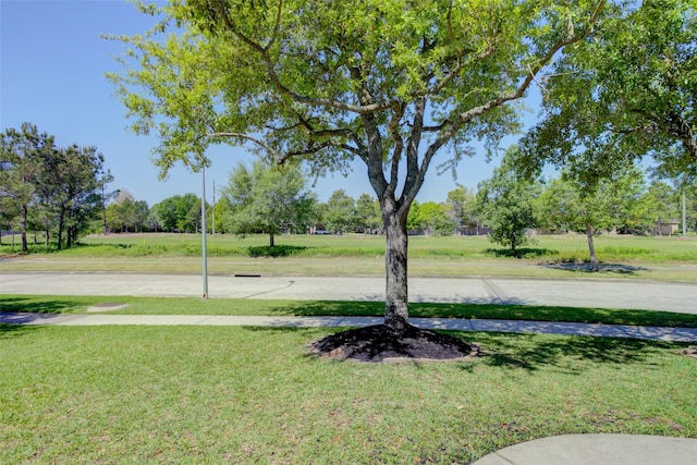 6103 Silver Thistle Ln, Fulshear, TX 77441 - view of grassy yard