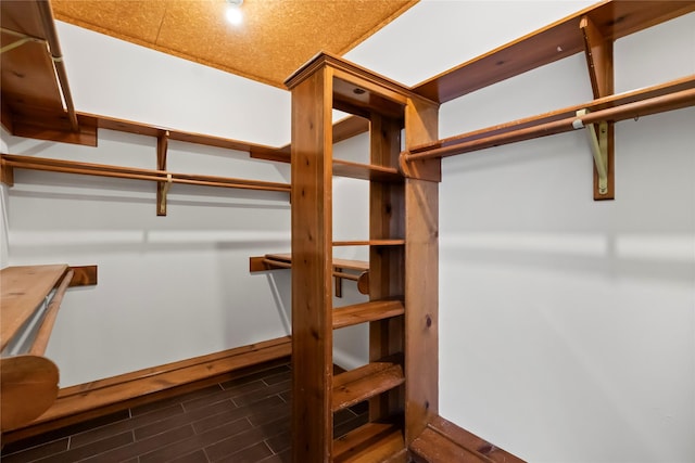walk in closet featuring wood finished floors