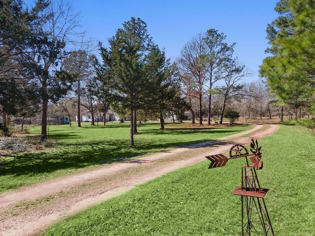 view of property's community with a yard