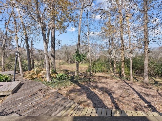 53 Hideaway Dr Unit 53, Friendswood, TX 77546 - photo 25