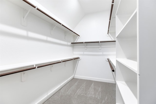 23446 Timbarra Glen Dr, New Caney, TX 77357 - spacious closet featuring carpet floors