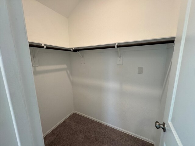 walk in closet featuring carpet flooring