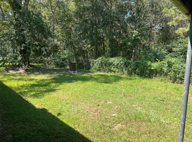 142 County Road 322, Cleveland, TX 77327 - photo 15