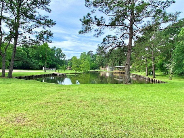 408 Redbud Rdg, Onalaska, TX 77360 - view of yard featuring a water view