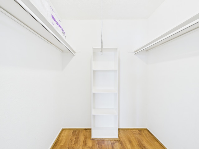 walk in closet with light wood-type flooring
