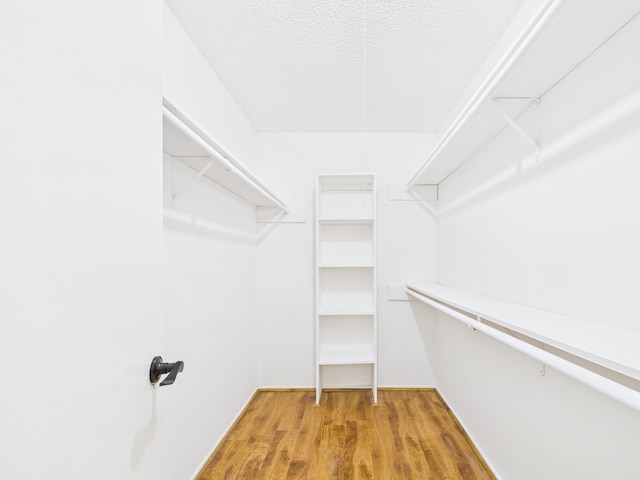 walk in closet with light wood-type flooring