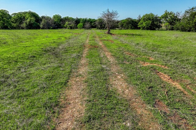 4519 County Road 120, Caldwell, TX 77836 - photo 20