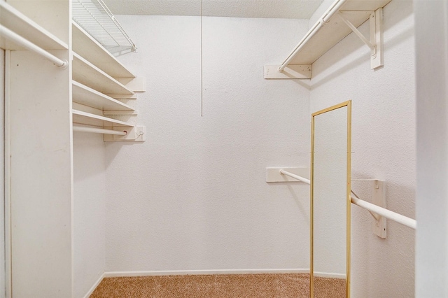 walk in closet featuring carpet