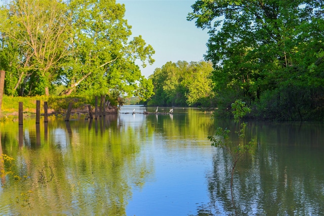 property view of water with a wooded view