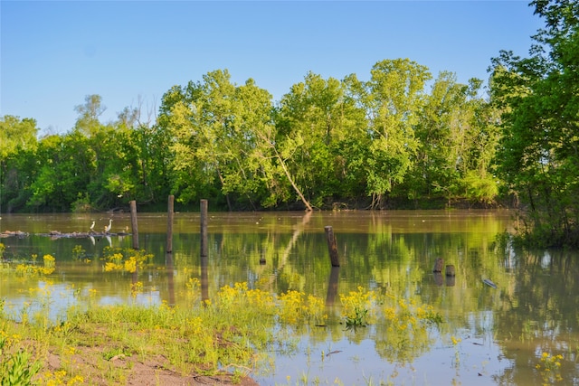 water view