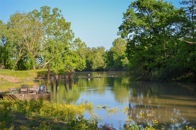 view of water feature with a view of trees