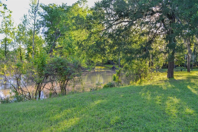 view of yard featuring a water view