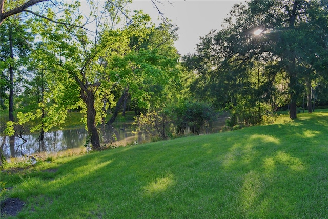 view of yard featuring a water view