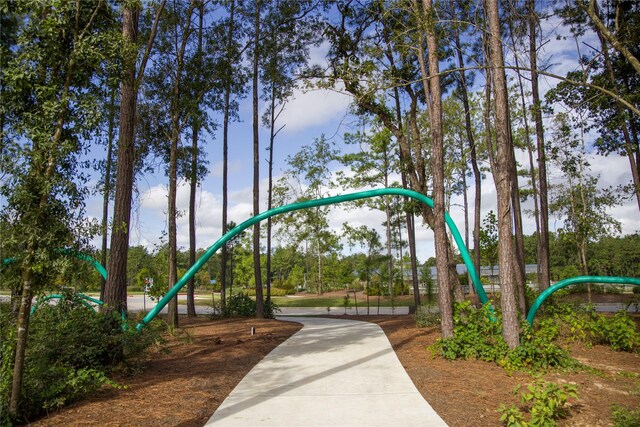 16146 Rita Rd, Conroe, TX 77302 - view of property's community