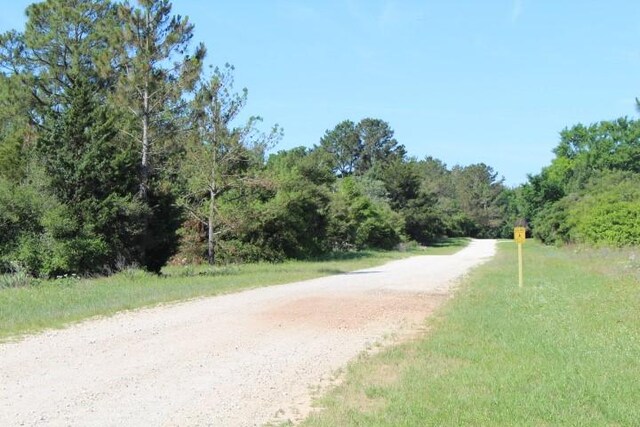 LOT7 Polk Dr, Normangee, TX 77871