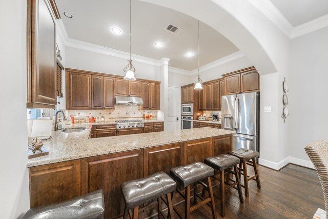 kitchen featuring a sink, appliances with stainless steel finishes, under cabinet range hood, dark wood-style flooring, and a peninsula