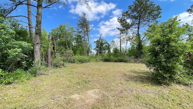 316 Rd 3802, Cleveland, TX 77328