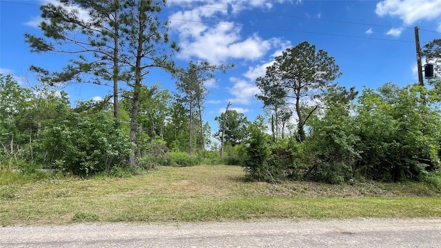 316 Rd 3802, Cleveland, TX 77328