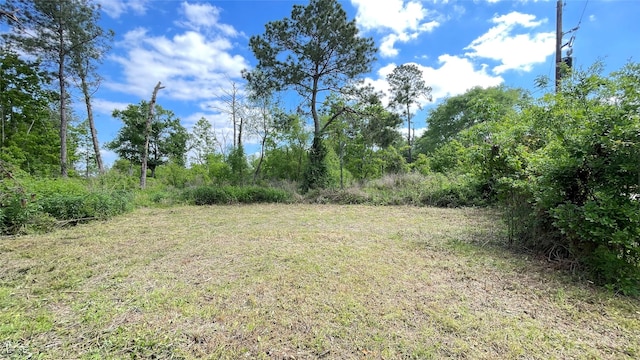 316 Rd 3802, Cleveland, TX 77328