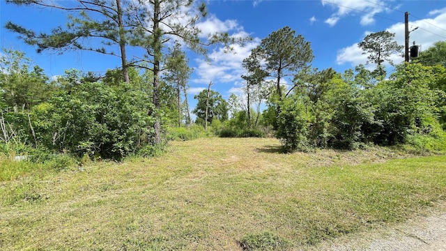 316 Rd 3802, Cleveland, TX 77328