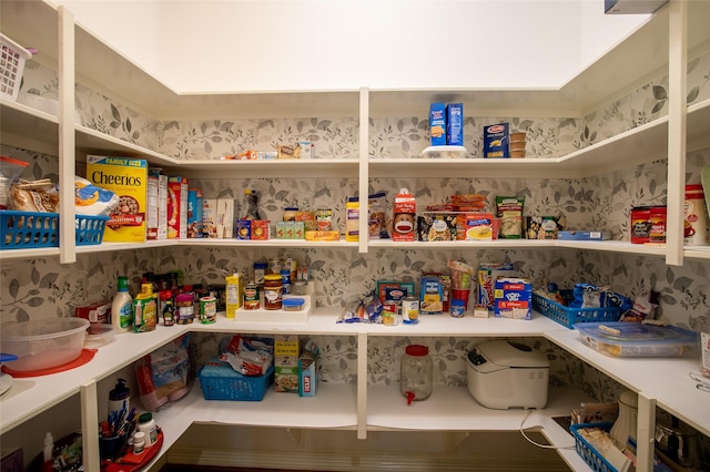 view of pantry