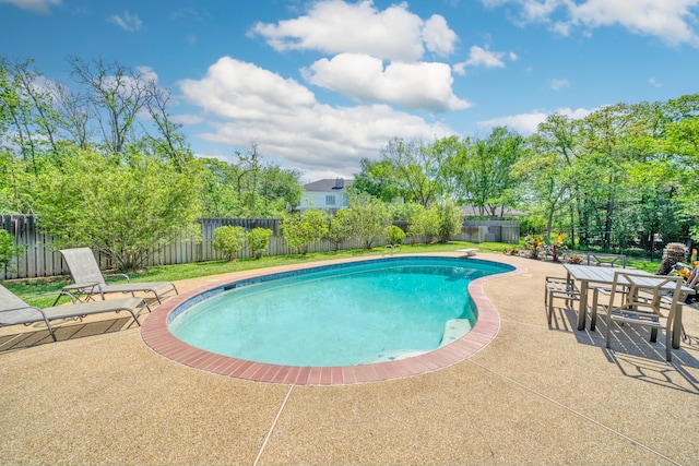view of swimming pool featuring a fenced in pool, a patio area, and a fenced backyard