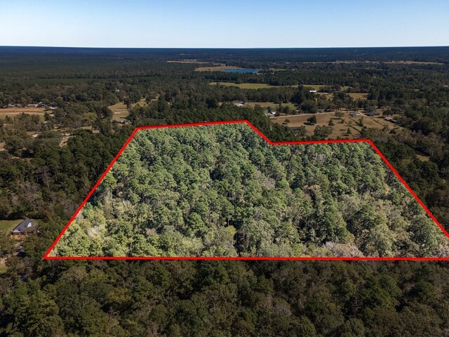 R16858 Fm 2021, Lufkin, TX 75904 - photo 5