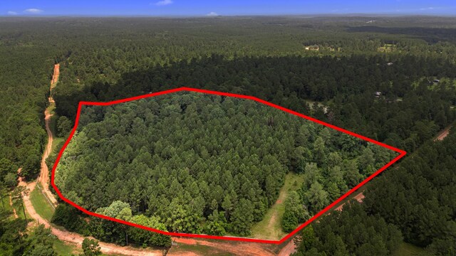 00 Felix Currie Rd, Oakhurst, TX 77359 - photo 1
