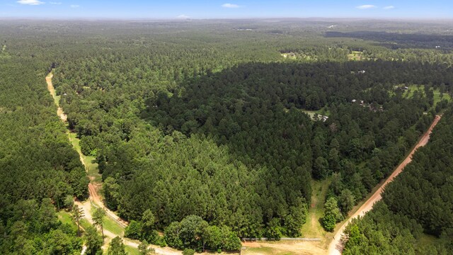 00 Felix Currie Rd, Oakhurst, TX 77359 - photo 2