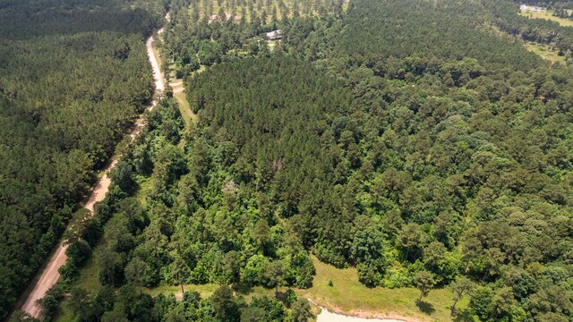 00 Felix Currie Rd, Oakhurst, TX 77359 - photo 7