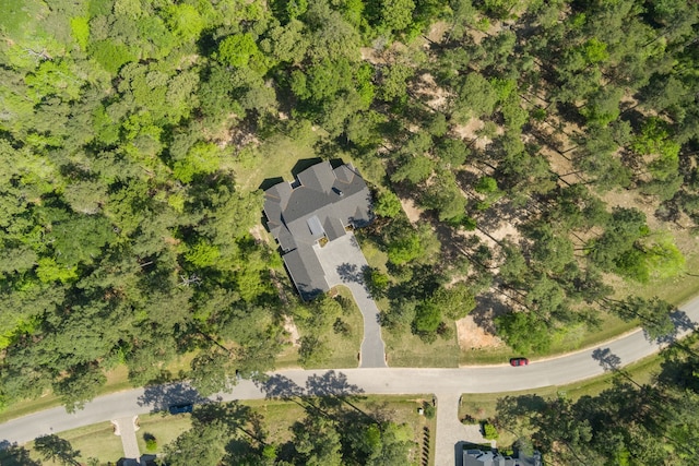 4458 Lily Bean, Montgomery, TX 77316 - bird's eye view