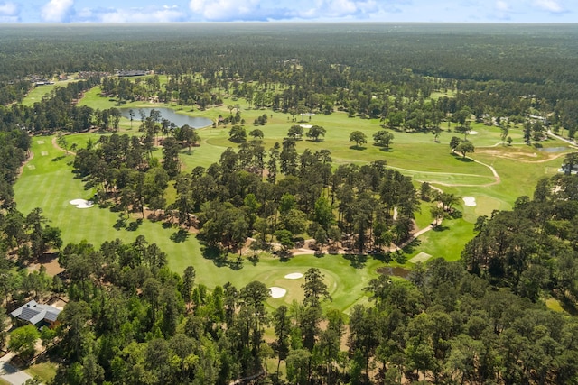 4458 Lily Bean, Montgomery, TX 77316 - drone / aerial view with a water view, a forest view, and view of golf course