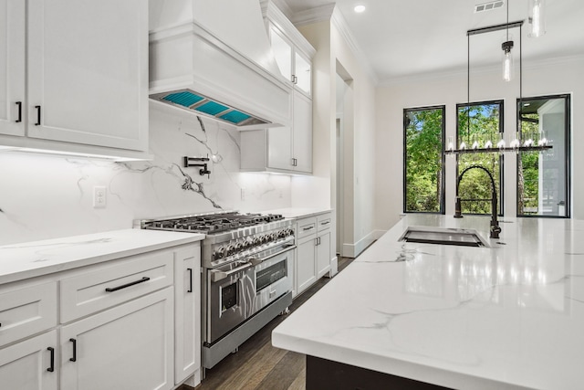 4458 Lily Bean, Montgomery, TX 77316 - kitchen with custom exhaust hood, a sink, ornamental molding, and double oven range
