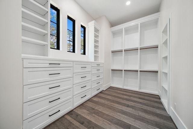 4458 Lily Bean, Montgomery, TX 77316 - spacious closet featuring dark wood-style floors
