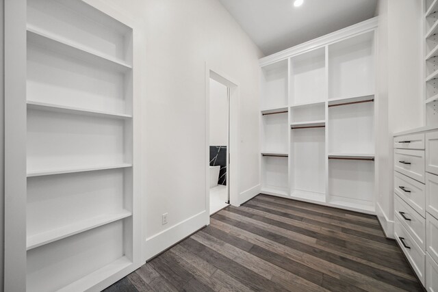 4458 Lily Bean, Montgomery, TX 77316 - spacious closet featuring dark wood-style floors