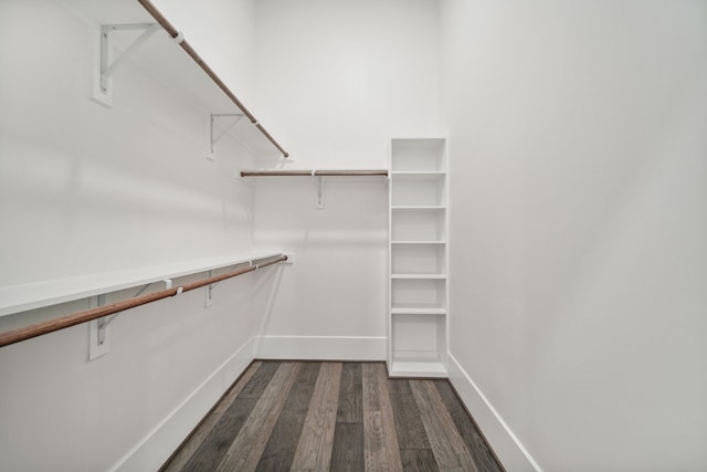 4458 Lily Bean, Montgomery, TX 77316 - spacious closet featuring dark wood-style floors