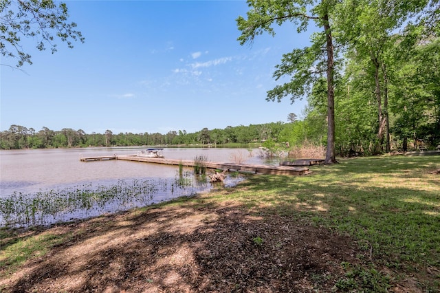 dock area with a forest view and a water view