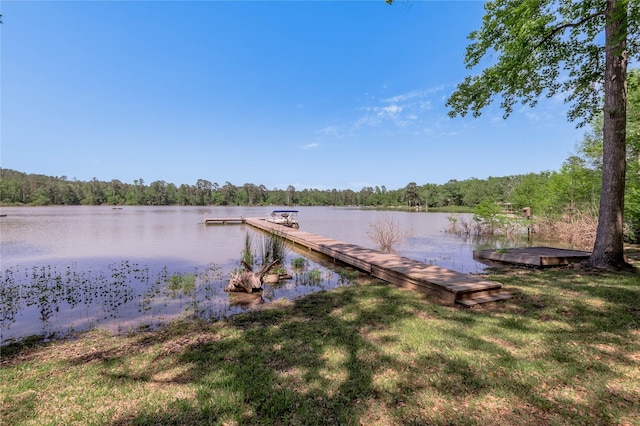 dock area featuring a water view and a view of trees