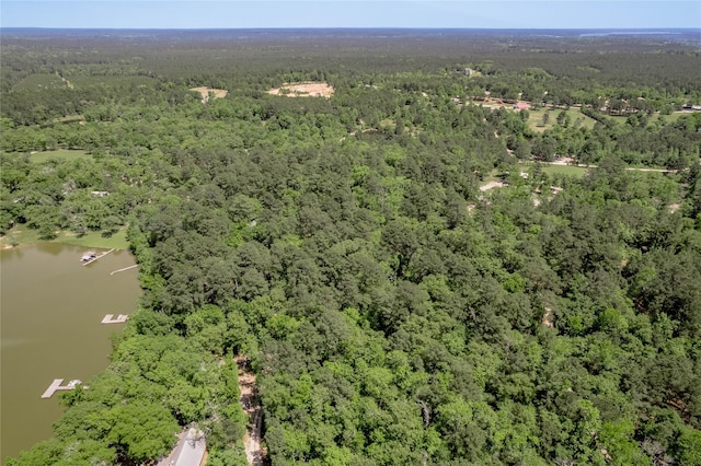 drone / aerial view with a water view and a forest view