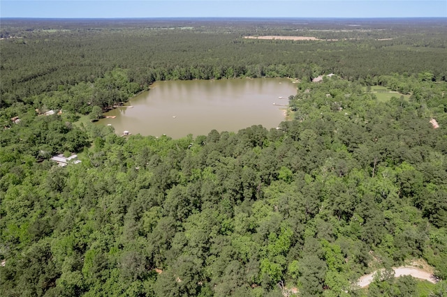 bird's eye view with a view of trees and a water view