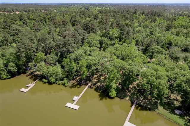 bird's eye view with a water view and a forest view