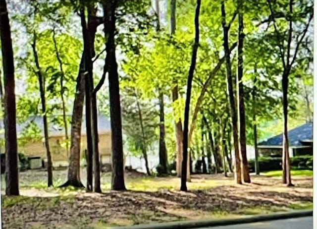 1912 E Lake Dr, Huntsville, TX 77340