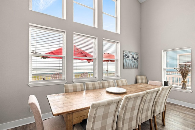 dining area featuring baseboards, a high ceiling, wood finished floors, and a healthy amount of sunlight